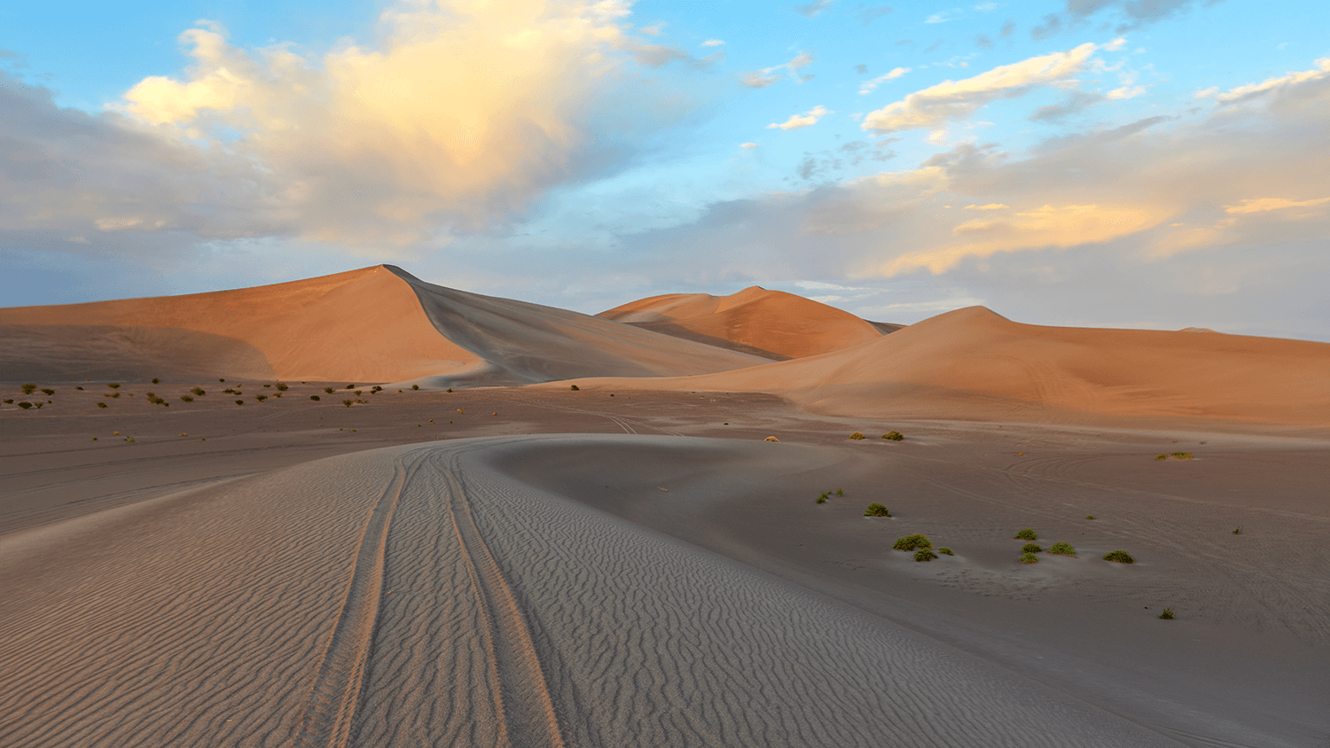 sand dunes