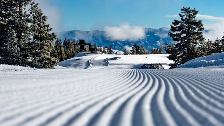 corduroy at boreal