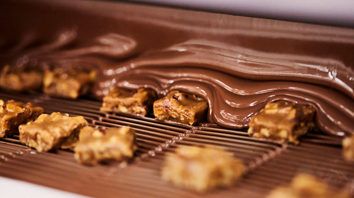 Ethel M Chocolates & Botanical Cactus Garden in Las Vegas, NV