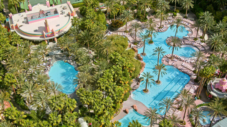 pool at the flamingo