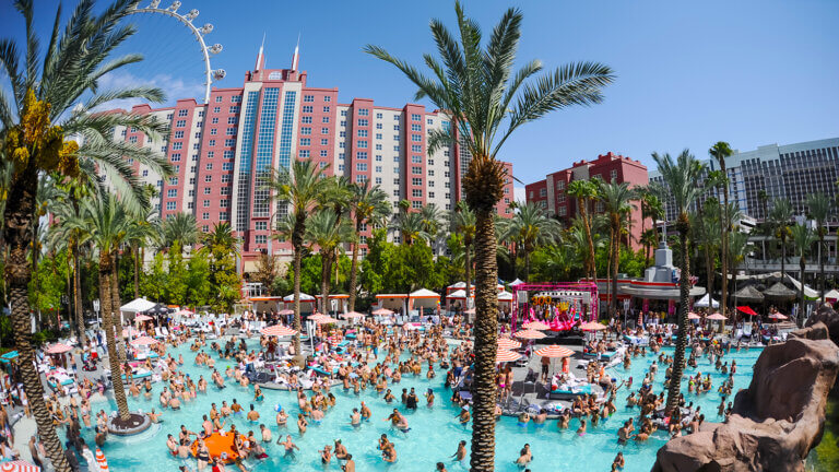 pool at the flamingo