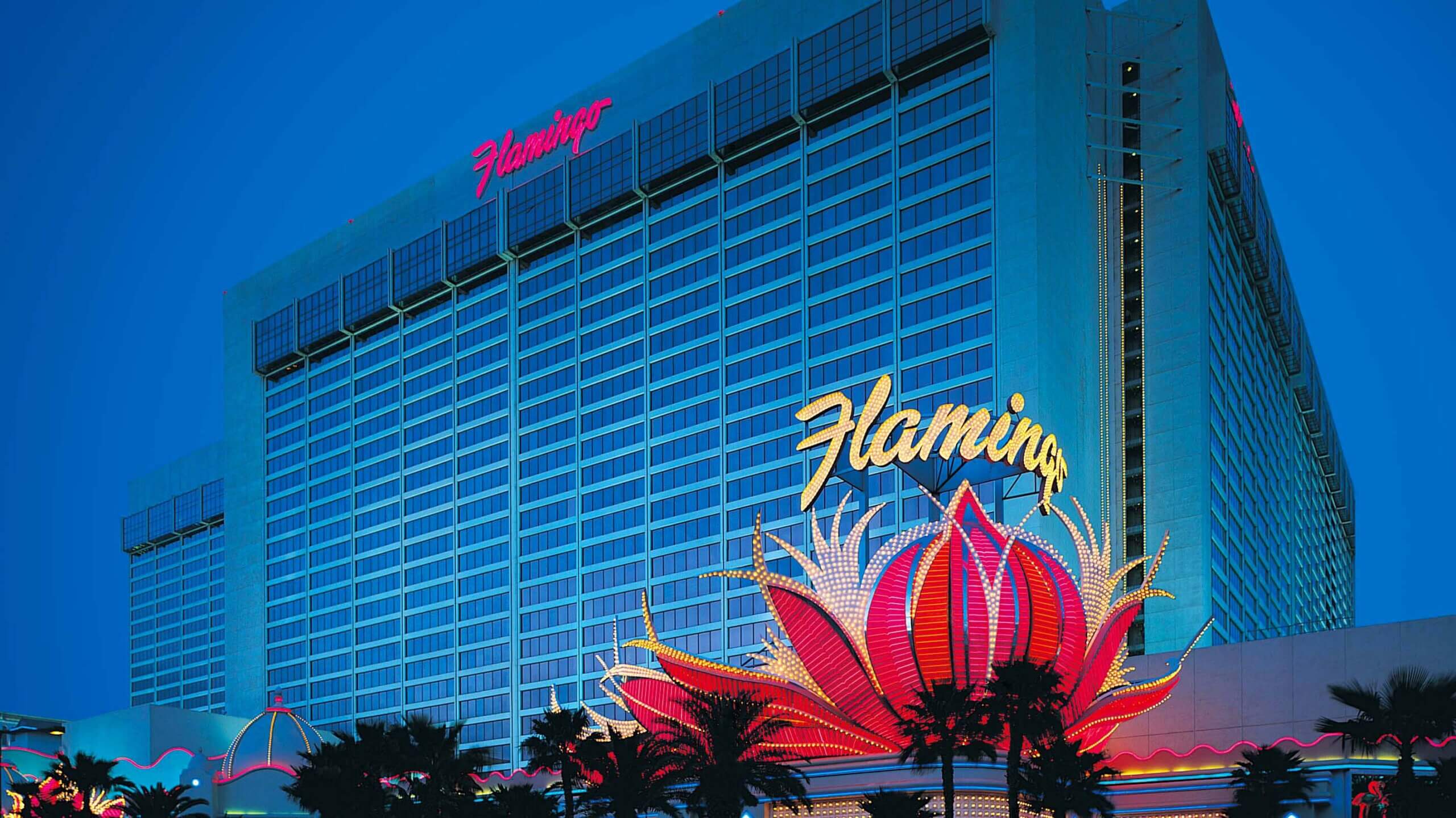 Pictures of the Pool at the Flamingo Las Vegas Hotel