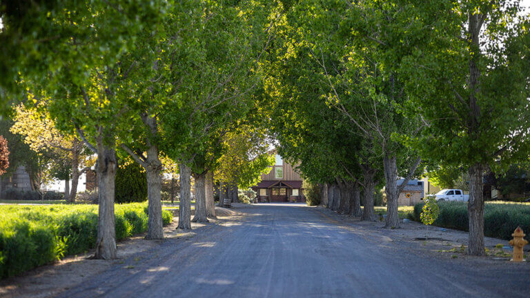 frey ranch farmers and distillers fallon nevada