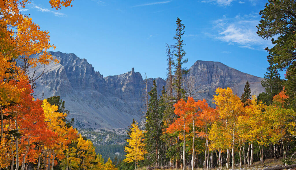 Great Basin National Park in Fall