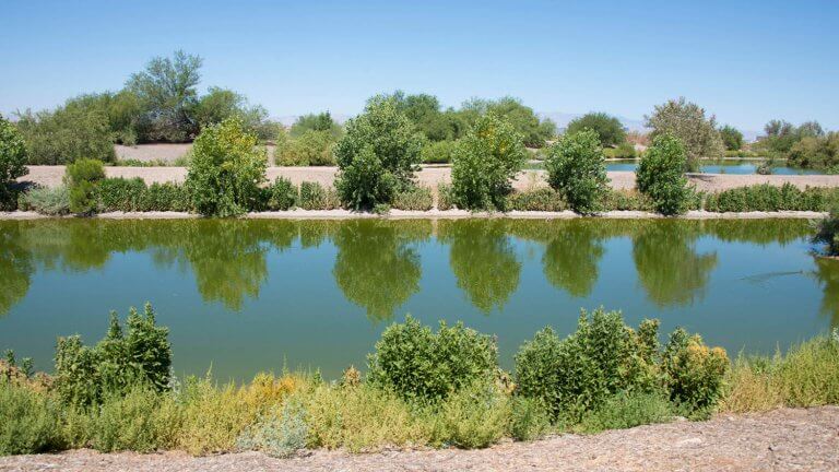 pond at henderson bird viewing preserve