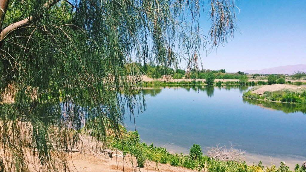 Ponds at Henderson Bird Viewing Preserve