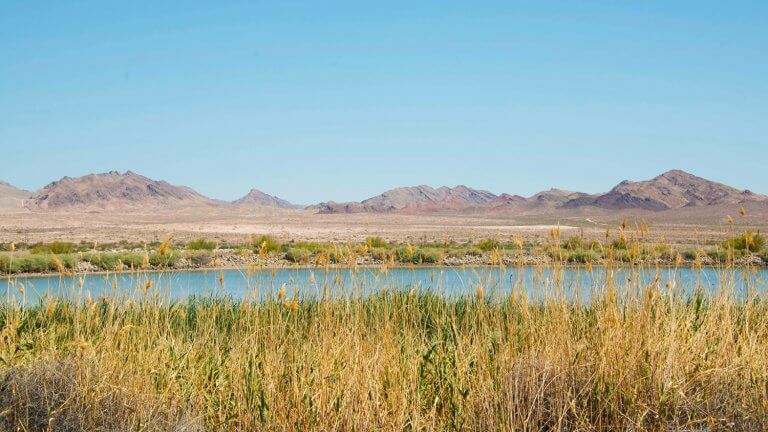 henderson bird viewing preserve lake