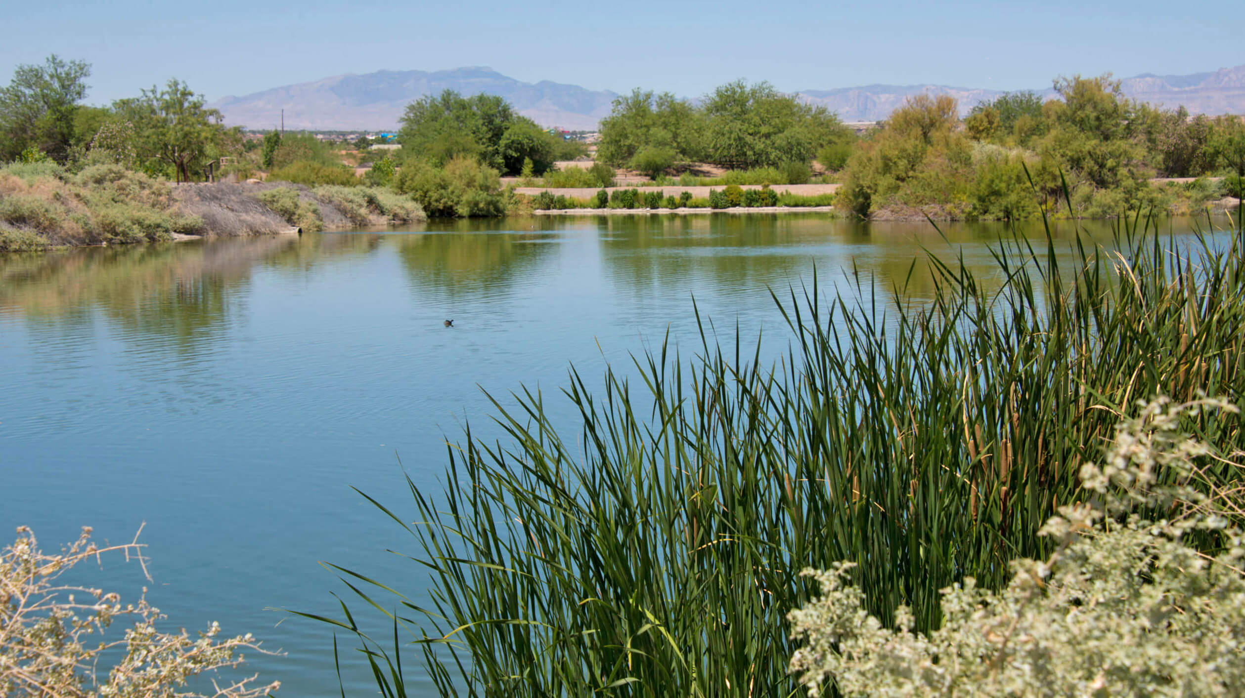 Henderson Bird Viewing Preserve