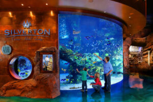 Silverton fish aquarium