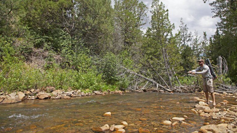 fishing at jarbidge river