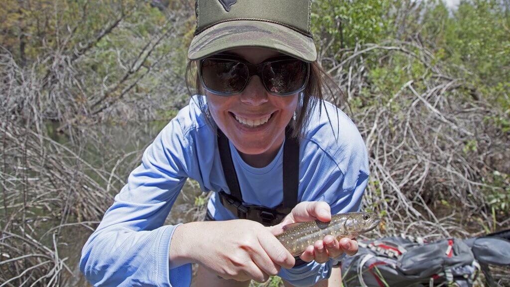 Native Bull Trout