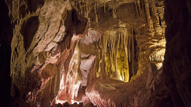 wall inside the lehman caves