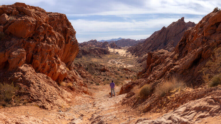 logandale trails near moapa valley nevada