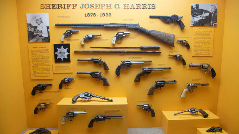 gun display