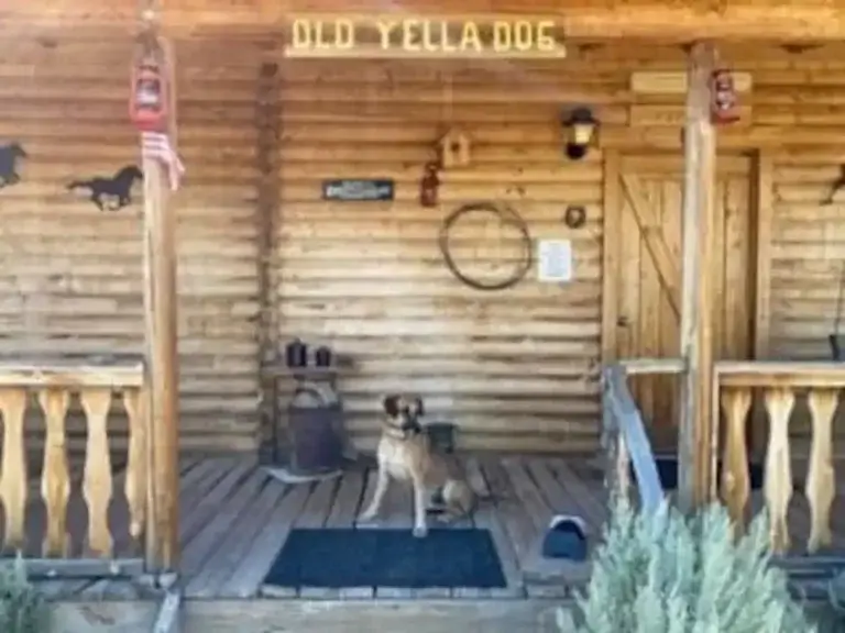 entrance to old yella dog ranch and cattle company