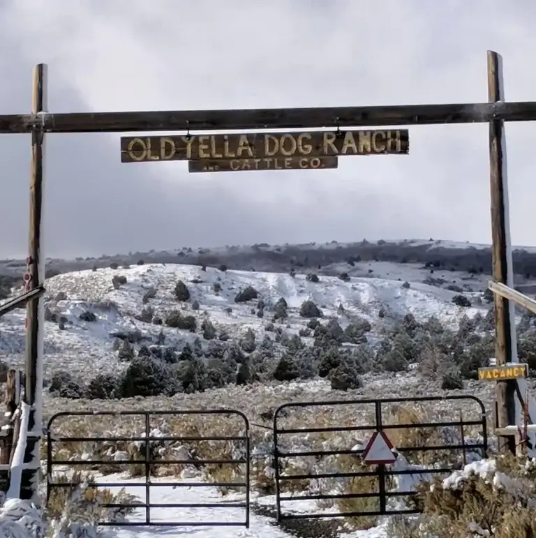 entrance gate to old yella dog ranch and cattle company