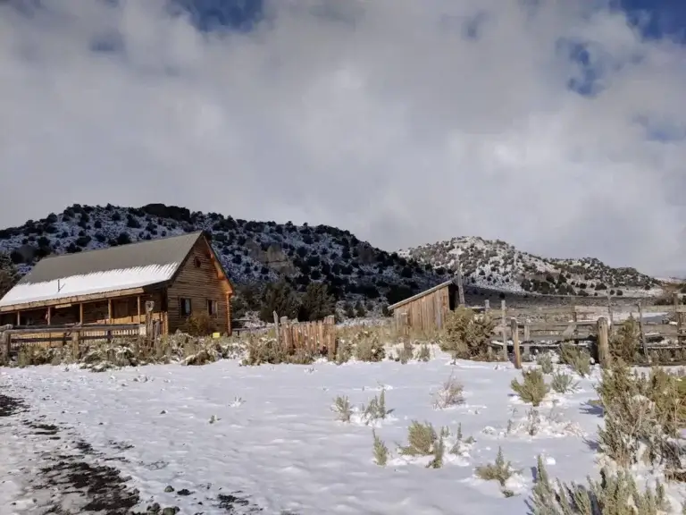 old yella dog ranch and cattle company in the winter