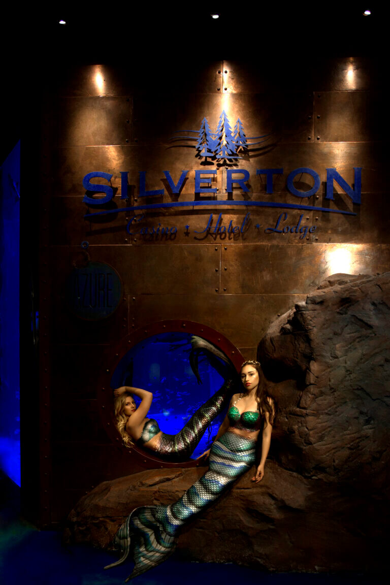 Silverton fish aquarium