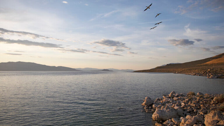 pyramid lake views