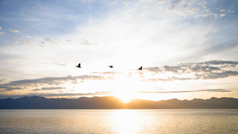 pyramid lake sunrise