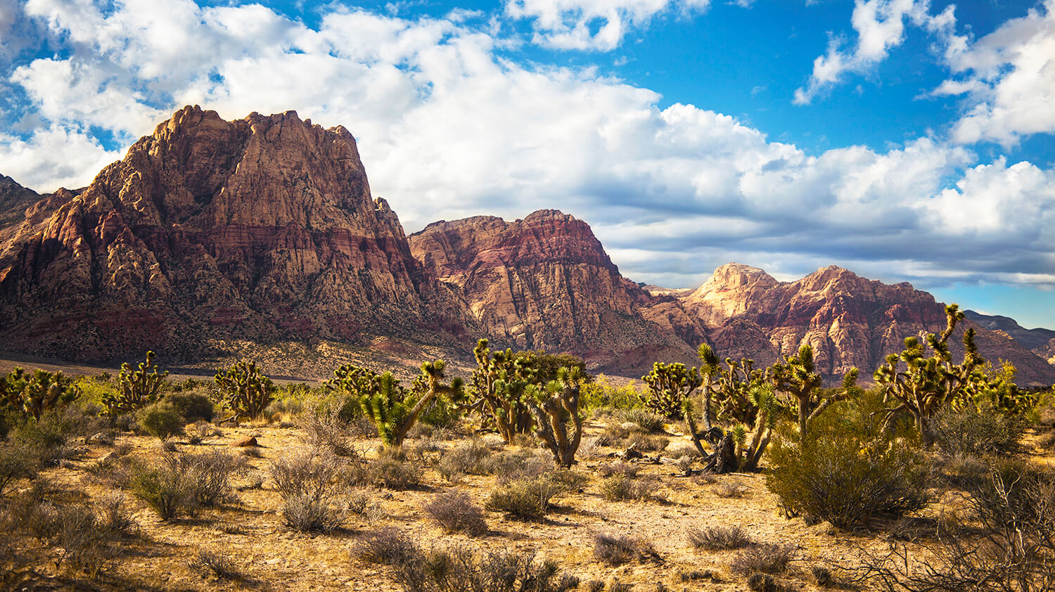 Canyon | Red Rock Conservation Area