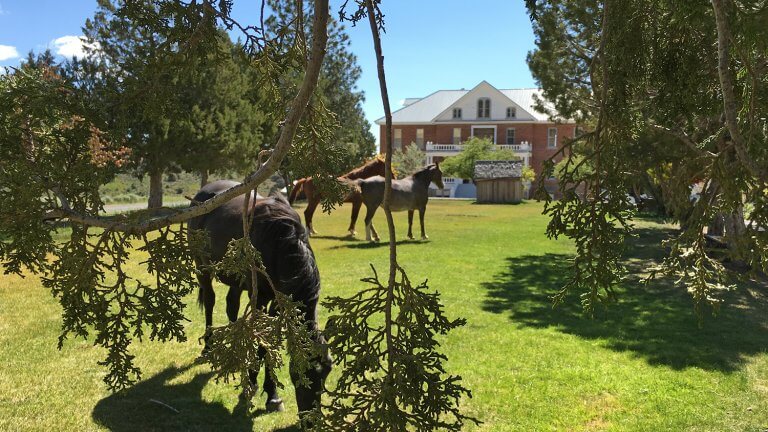 saint marys art center lawn