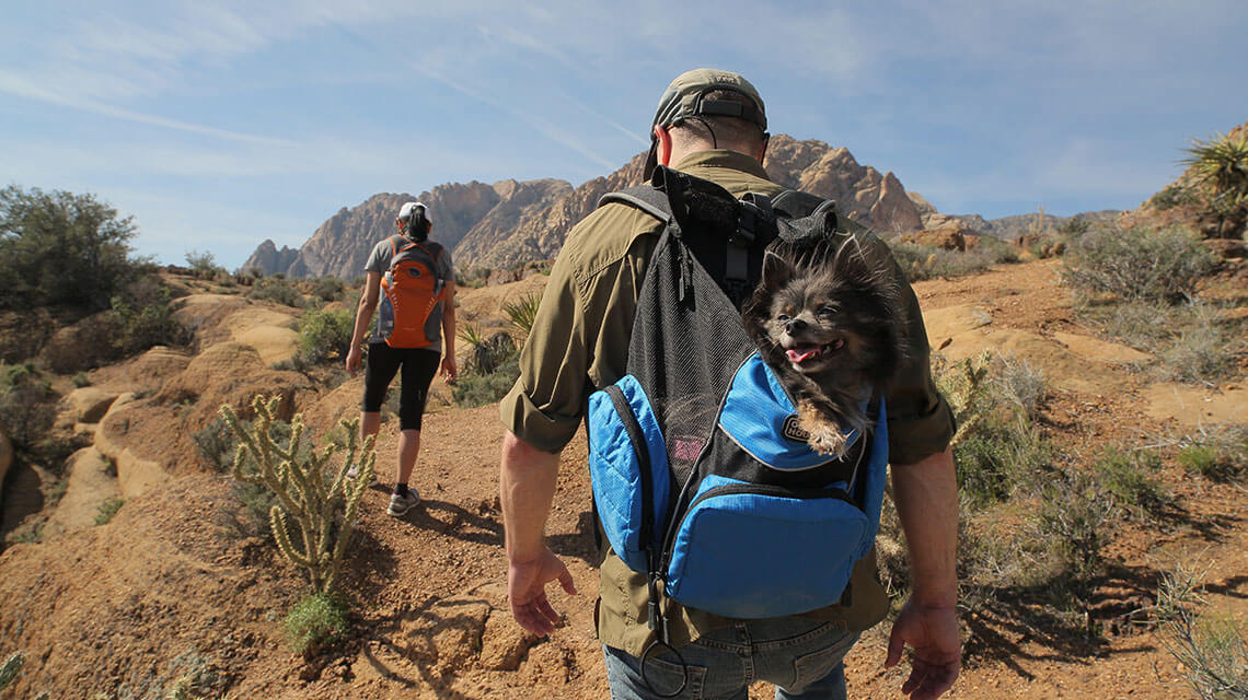 spring mountain ranch state park dog hiking