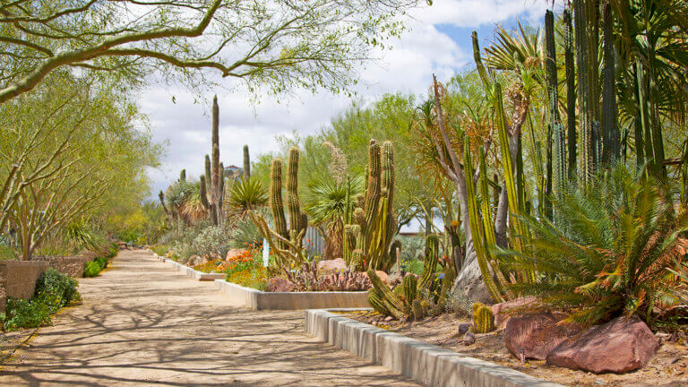 Botanical Garden entrance at the Las Vegas Springs Preserve