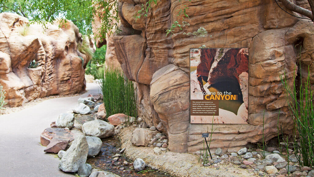 rocks at Springs Preserve