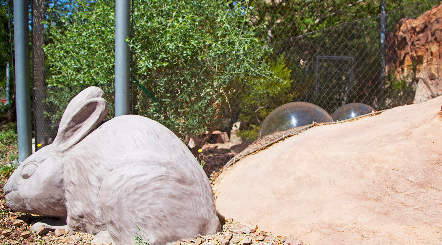 Springs Preserve Botanical Garden & Butterfly Habitat in Las Vegas