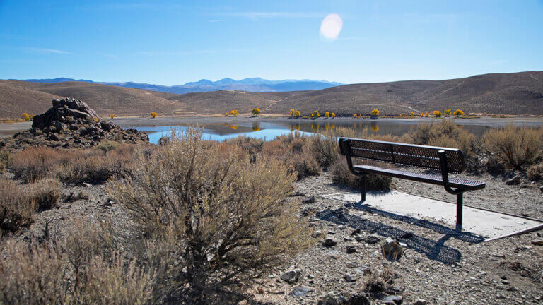 picnic bench