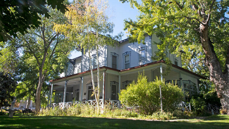 house surrounded by trees and bushes