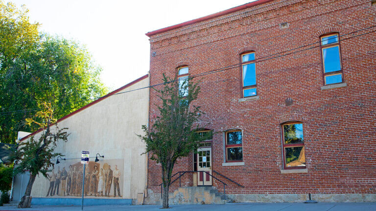 tree in front of the brewery arts center