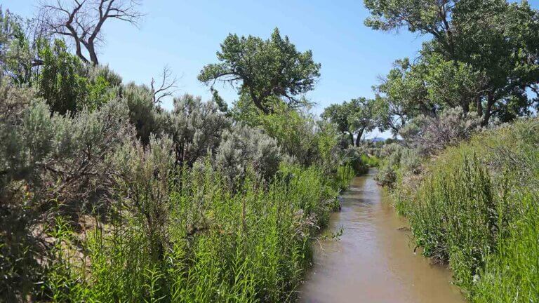 carson river dayton