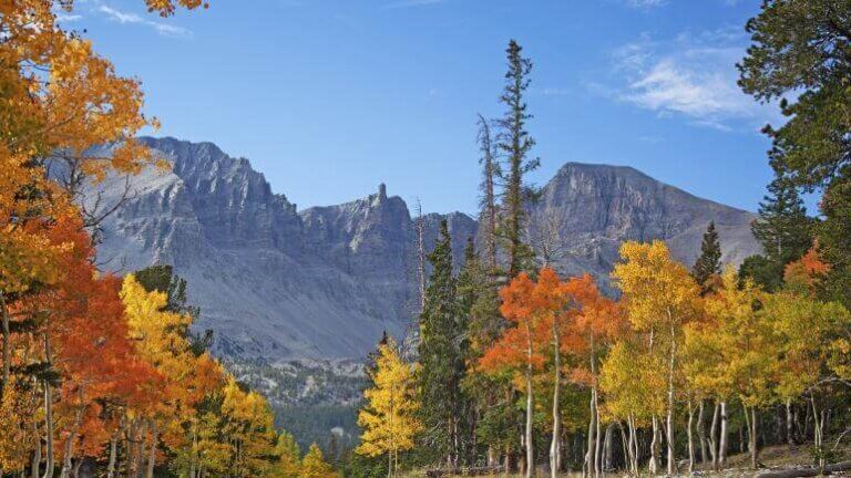 great basin park in fall