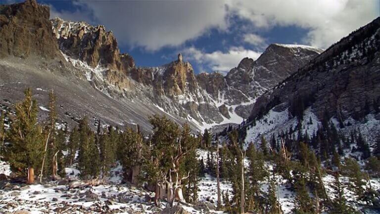 great basin wheeler peak