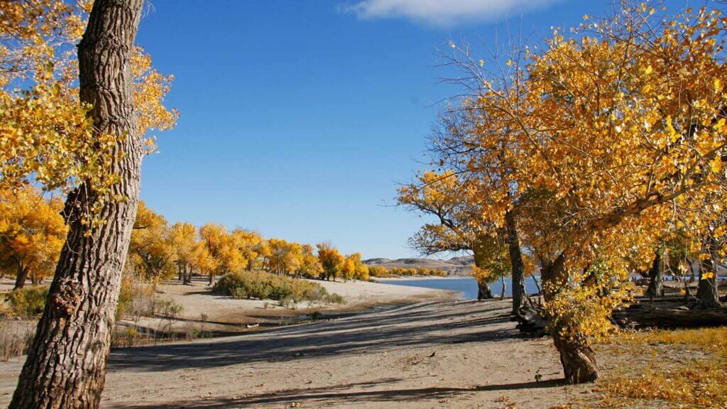 lake lahontan camping