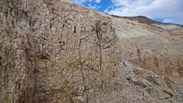 nevada opals