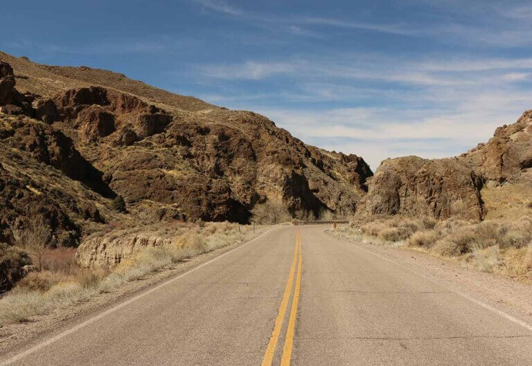 road through toiyabe and arc dome wilderness
