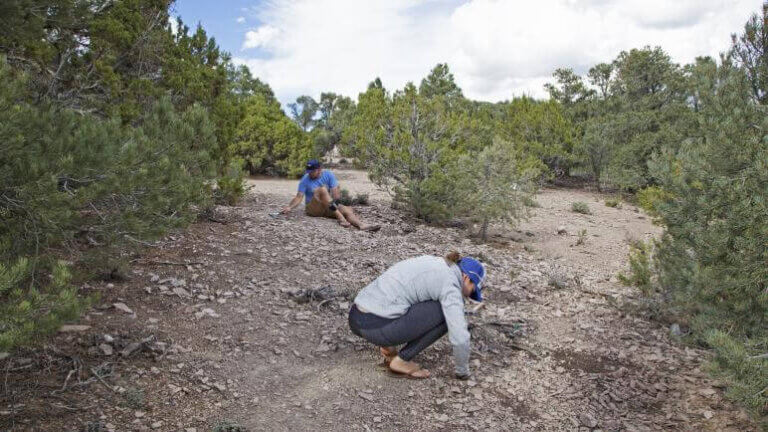 rockhound area