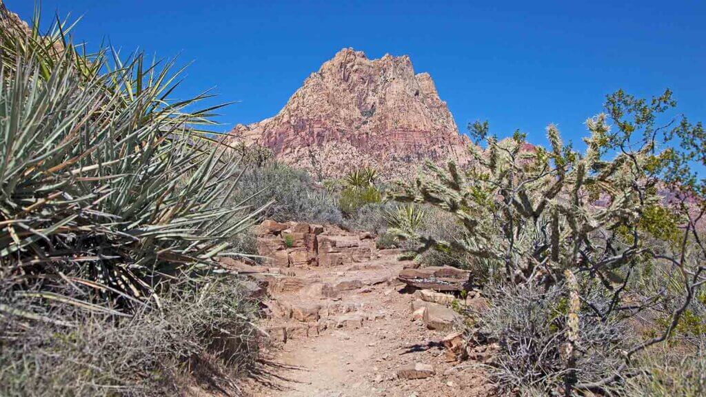spring mountain ranch hiking trails
