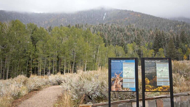 visit great basin park