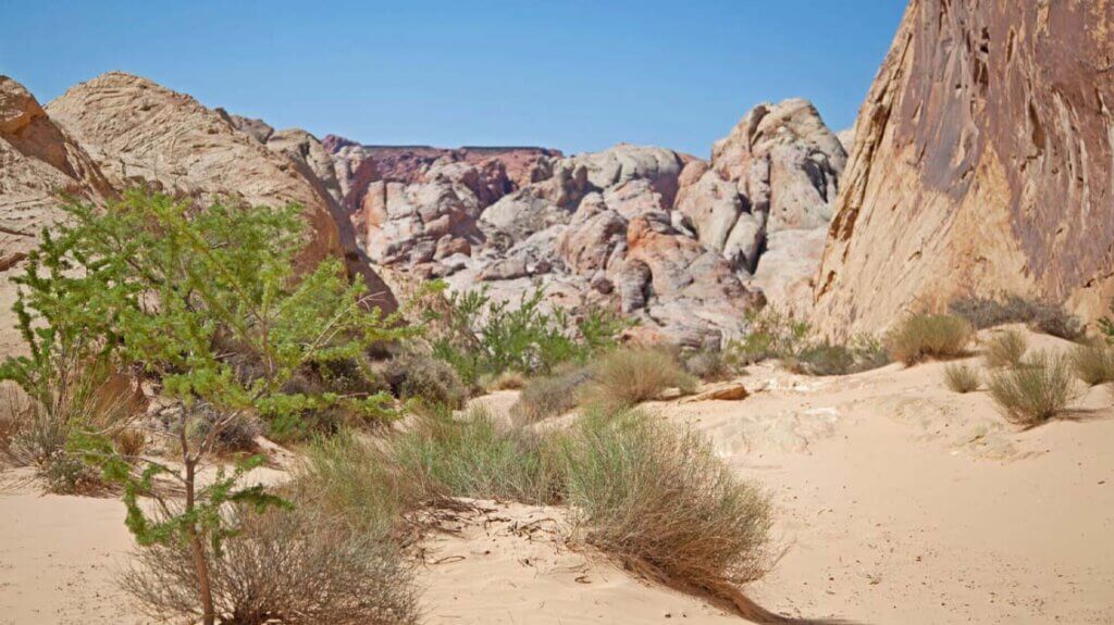 white domes hiking trail at valley of fire state park