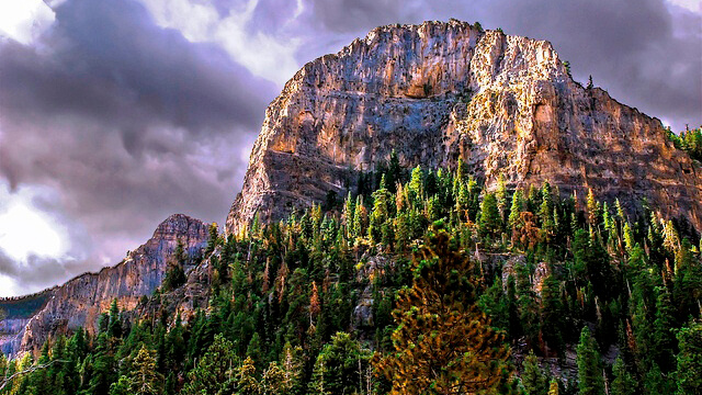 Mt. Charleston Wilderness Area