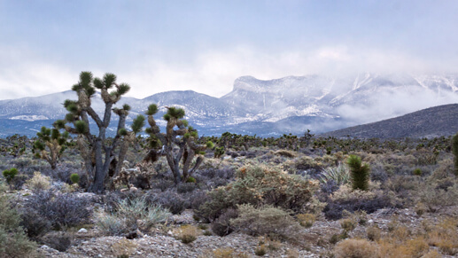 The Cloudy Desert, Storm clouds roll into the Spring Mountains near Las  Vegas, Nevada., Spring Mountain Ranch