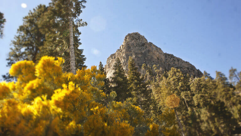 charleston peak