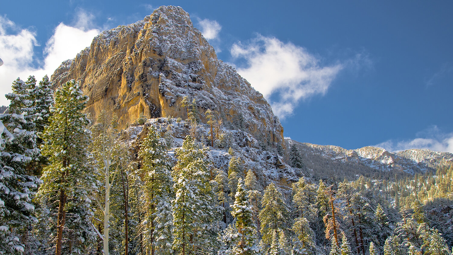 Spring Mountains National Recreation Area