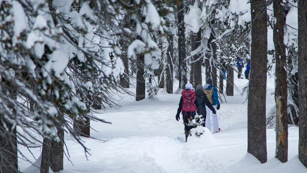 people snowshoeing into chickadee ridge