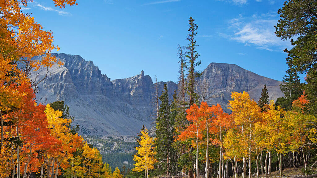 Great basin national park, fall foliage, leaf peeping, autumn color