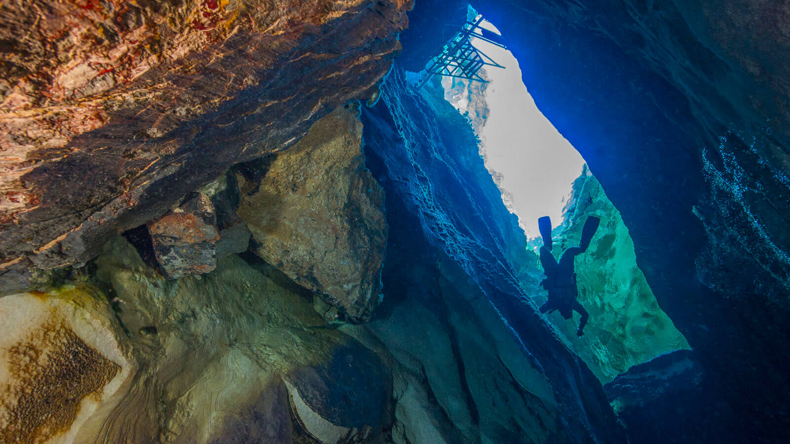 10 Facts About Devil's Hole and Rare Desert Pupfish